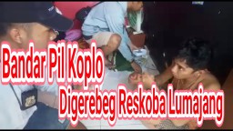 Video : Polisi Gerebeg Rumah Kos Bandar Pil Koplo