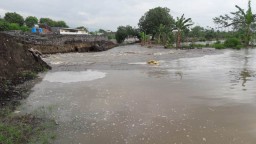 Tak Sampai Setahun Dam Gambiran Lumajang Kembali Jebol Diterjang Banjir