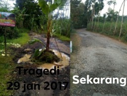 Warga Mojo 2017 Pernah Tanam Pisang di Tengah Jalan Rusak