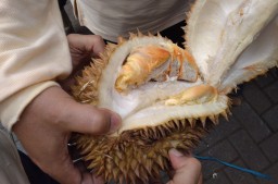 Lumajang Mencari Durian, Dua Varian Durian Berwarna Unik