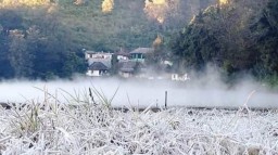 Fenomena Bunga Salju Akan Segera Muncul di Ranupani Lumajang