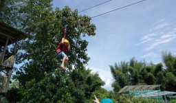 Wisata Edukasi Alas Semeru, Kini Dilengkapi Wahana Flying Fox