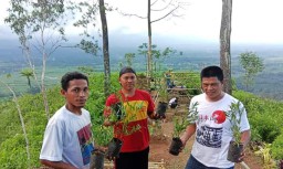 Pemuda Sumberwuluh Terus Hijaukan Puncak Gunung Wayang Lumajang