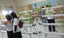 Pelatihan Hidroponik Ajak Anak Muda Bangga Jadi Petani