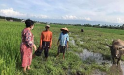 HPL Minta Pemerintah Perhatikan Sektor Pertanian Dimasa Pandemi Covid