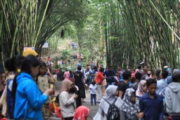 Hutan Bambu, Jadi Magnet Wisata Alam Lumajang