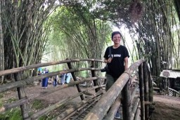 Pesona Hutan Bambu di Lereng Gunung Semeru Menyejukan Mata