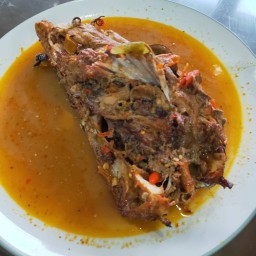 Menikmati Pedas dan Gurih Kuliner Ikan Manyung