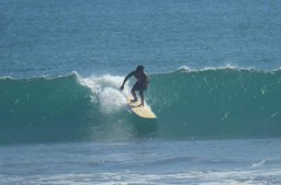 Ombak Pantai Dampar dan Watu Godek Cocok Untuk Berselancar