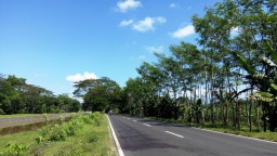 Ngeri..!! Darah Berceceran Dilokasi Pembacokan Sadis Jalan Sukosari-Jatiroto