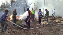 Lalai, Kabakaran Lahan Hanguskan Puluhan Pohon Sengon di Kedungjajang