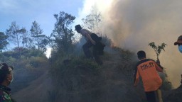 Angin Kencang, Kebakaran Semak-semak di Bromo Merembet ke B 29 Lumajang