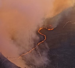 Kebakaran Hutan TNBTS Menjalar ke B29 Lumajang