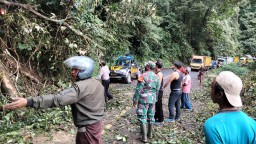 Pohon Tumbang KM 55 Piket Nol Lumajang Langsung Dibersihkan