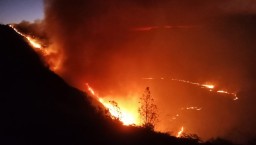 Akibat Kebakaran Jalur Semeru- Bromo Ditutup