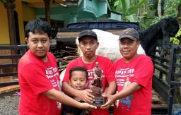 Sering Menang Kontes, Harga Kambing Etawa Senduro Mulai Mahal