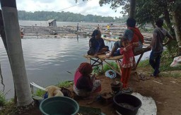 Ranu Klakah Mulai Koyo, Banyak Ikan dan Udang Mabuk