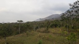 Kepulan Asap Membumbung Tinggi Sisi Utara Lereng Gunung Lemongan