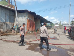 Lama Tak Beroperasi, Pabrik Kayu di Desa Besuk Lumajang Terbakar