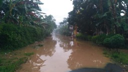 Luapan Sungai Bondoyudo Tutup Jalan Desa Banyuputih Kidul Lumajang