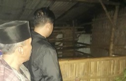 Dicari Sampai Pagi 2 Ekor Sapi Milik Warga Wonorejo Belum Ditemukan