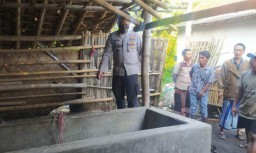 3 Ekor Sapi Limosin Raib Digondol Maling di Desa Mangunsari Lumajang