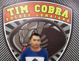 Oknum Tim Katak PNS DLH Diringkus Tim Cobra Lumajang