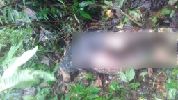 Ditemukan Tewas di Hutan Burno, Aisyah Pamit Temui Kekasihnya di Senduro