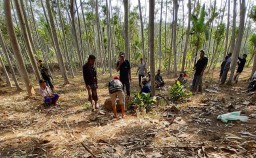 Kawanan Maling Sapi Mulai Tebar Teror Warga Lumajang Utara