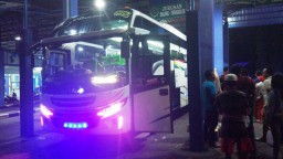 Kecelakaan, Penumpang Bus Mila Sejahtera Terlantar di Terminal Minak Koncar