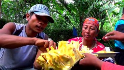 Nangka Manis dan Lezat Khas Ranuyoso Mulai Panen Raya