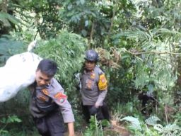 Tim Gabungan Grebeg Ladang Ganja di Kawasan TNBTS Argosari Lumajang