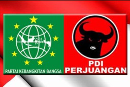 Dapil 4 Lumajang PKB Obrak-abrik Kandang Banteng