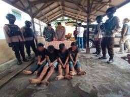 Empat Maling Sapi Asal Desa Tempeh Lumajang Ditangkap, 1 Pelaku Buron