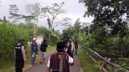 Dalam Semalam, 4 Ekor Sapi Raib Digondol Kawanan Maling di Lumajang