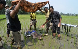 Petani Lumajang Ditemukan Meninggal di Tengah Sawah