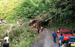 Macet Total 10 Jam, Jalur Lumajang - Malang Piket Nol Kembali Normal