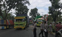 Pohon Tumbang di Kedungjajang Lumajang Timpa Truck Parkir