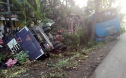 Truck Warga Puger Terbalik Tabrak Bus di Jalan Sukosari Lumajang