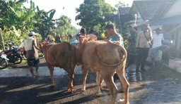 Tiga Desa di Rowokangkung Lumajang Mulai Terendam Banjir