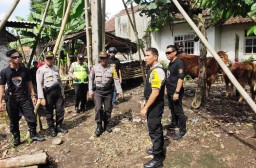 Ratusan Polisi Geledah Kandang Sapi di Desa Salak - Randuagung