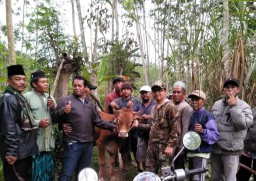 Dalam Semalam, 2 Desa Kawasan Selatan Diobok-0bok Bandit Maling Sapi