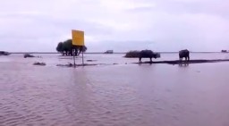 Padang Savana Pandawangi Lumajang Terendam Air Pasang