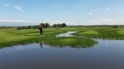 Savana View Feeling Good Pandanwangi Lumajang Ramai dan Makin Viral