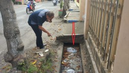 Bau Busuk Selokan di Jalan Veteran, Warga Minta DLH Lumajang Turun Tangan