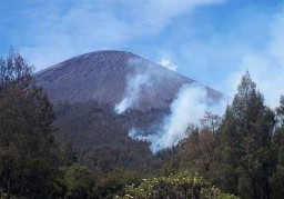 Lereng Semeru Terbakar, Jalur Pendakian dan Camping Ground Kalimati Steril