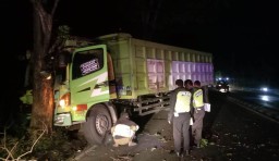 Truk Jumbo Seruduk Tiang Lampu PJU dan Pohon di Sukodono Lumajang