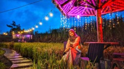 Spot Foto Cafe Sawah Sumber Mrutu Lumajang Sangat Instagramable