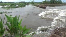 Tanggul Sungai Sempu Lumajang Jebol Akibat Hujan Deras