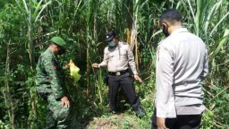 Heboh Diduga Bom Peninggalan Belanda Tegalbangsri Lumajang, Ternyata.?